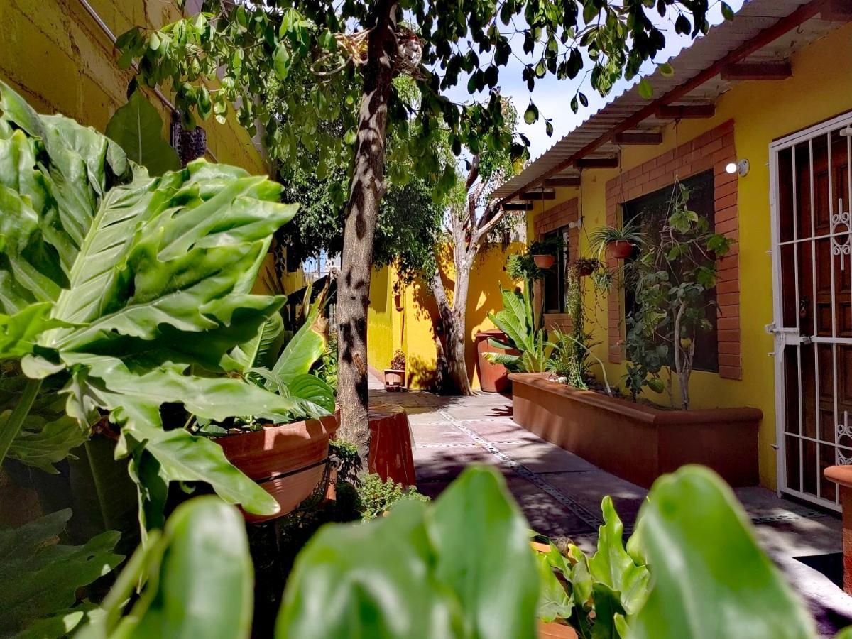 Apartament Casa Caracoles La Paz Zewnętrze zdjęcie